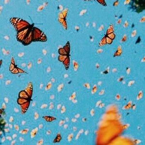 Just lowered most of my prices for today only